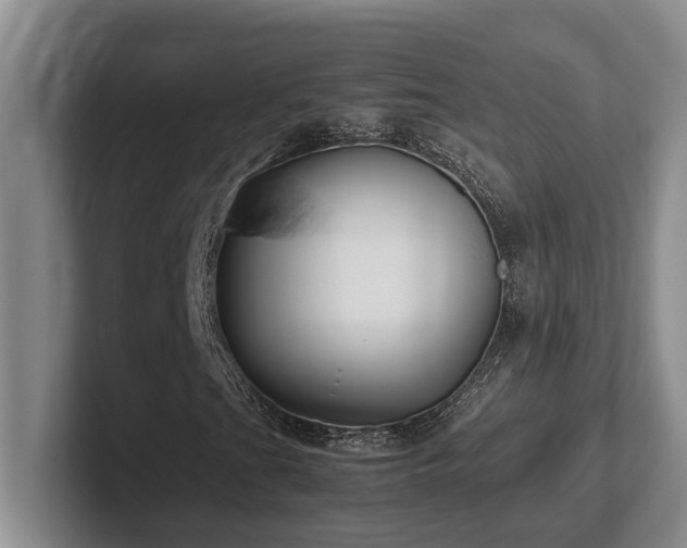 X0000102271201200807251342