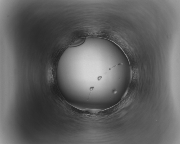 X0000102271202200807251342