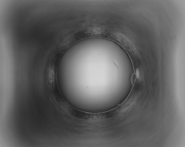 X0000102271203200807251342
