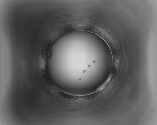 X0000102271204200807251342