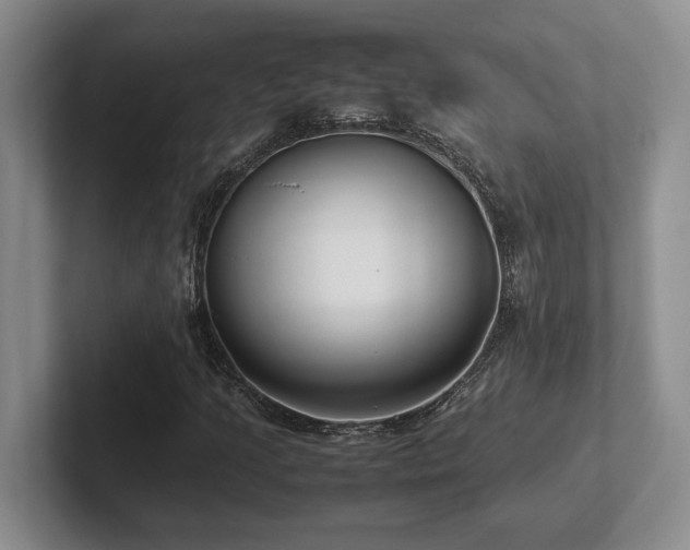 X0000102271205200807251342