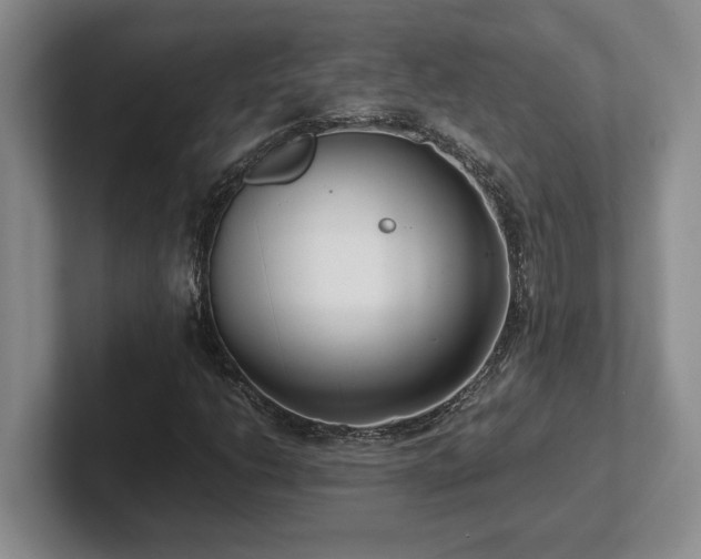 X0000102271206200807251342
