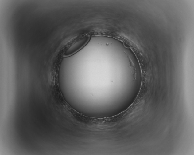 X0000102271207200807251342