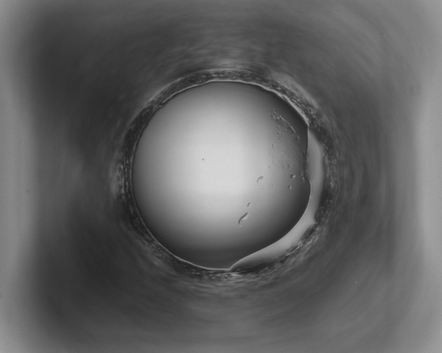 X0000102271208200807251342