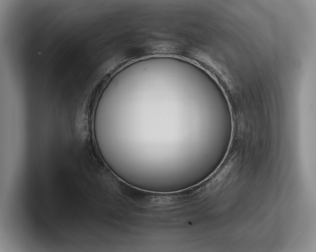 X0000102271211200807251342