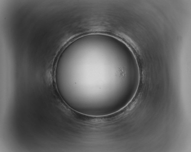 X0000102271212200807251342