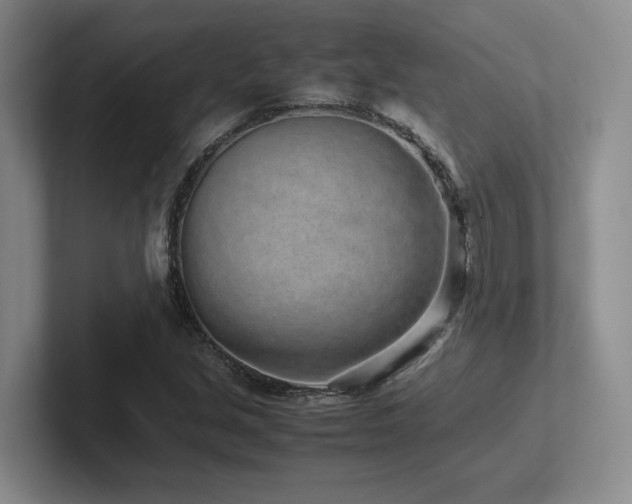 X0000102271213200807251342