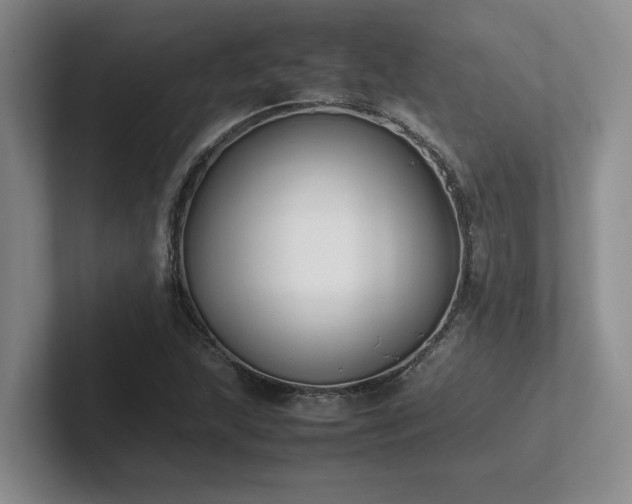 X0000102271215200807251342