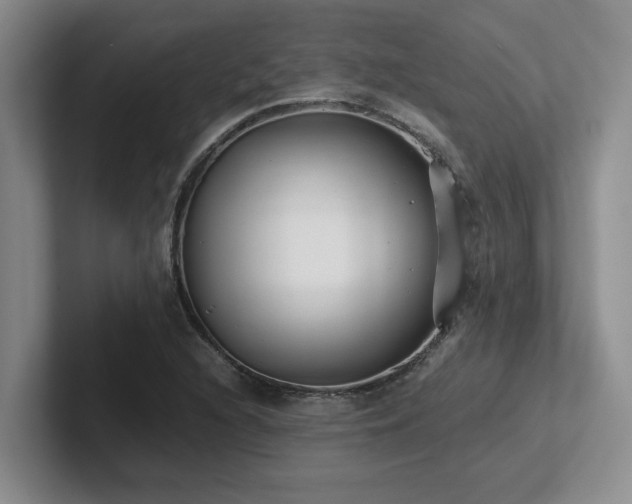 X0000102271216200807251342