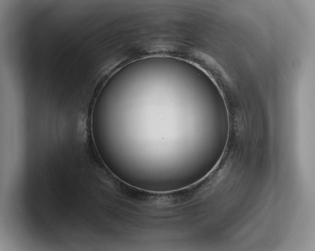 X0000102271217200807251343
