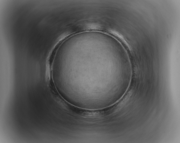 X0000102271219200807251343