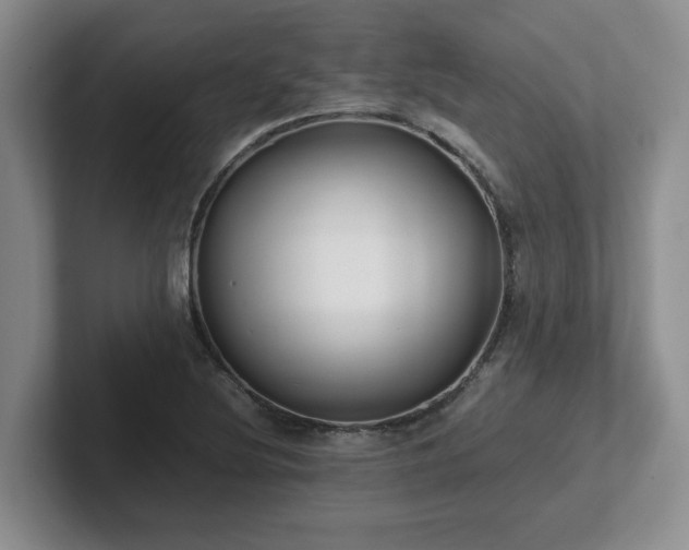 X0000102271220200807251343