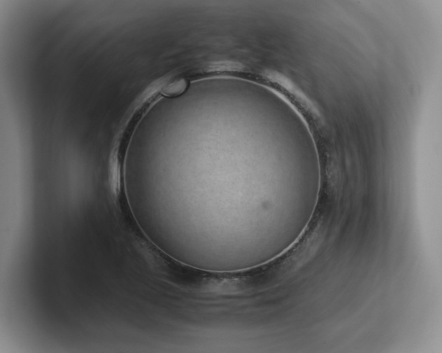 X0000102271221200807251343