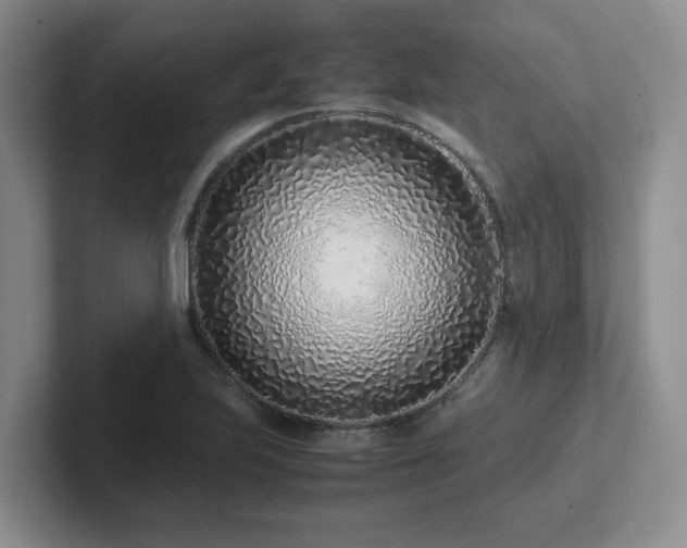 X0000102271223200807251343