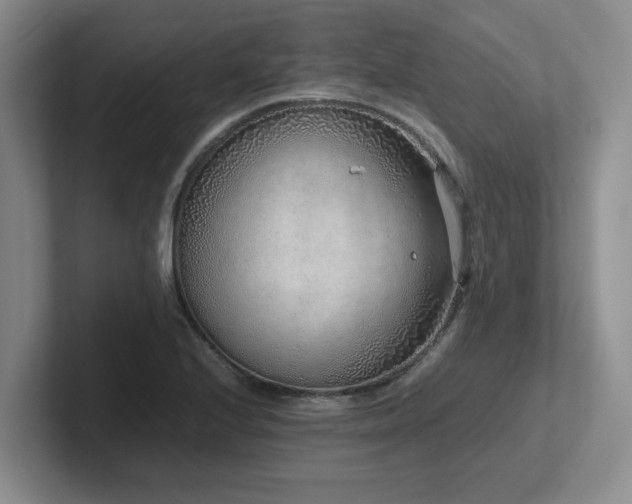X0000102271224200807251343
