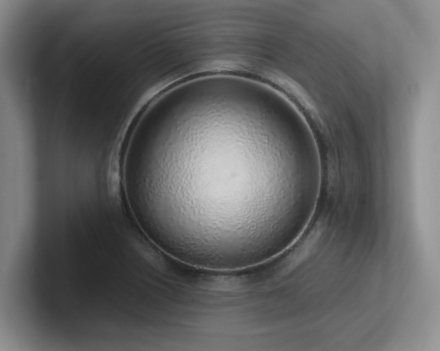 X0000102271226200807251343