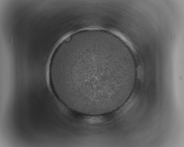 X0000102271229200807251343