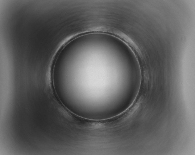 X0000102271230200807251343
