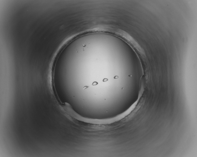 X0000102271232200807251343