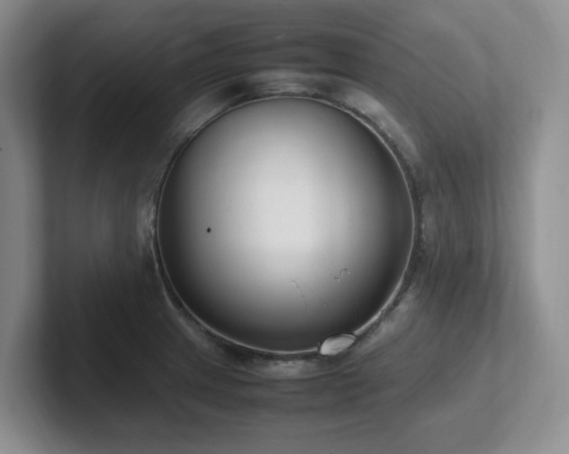 X0000102271233200807251343