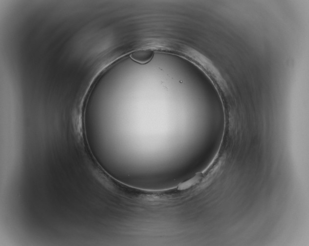 X0000102271234200807251343