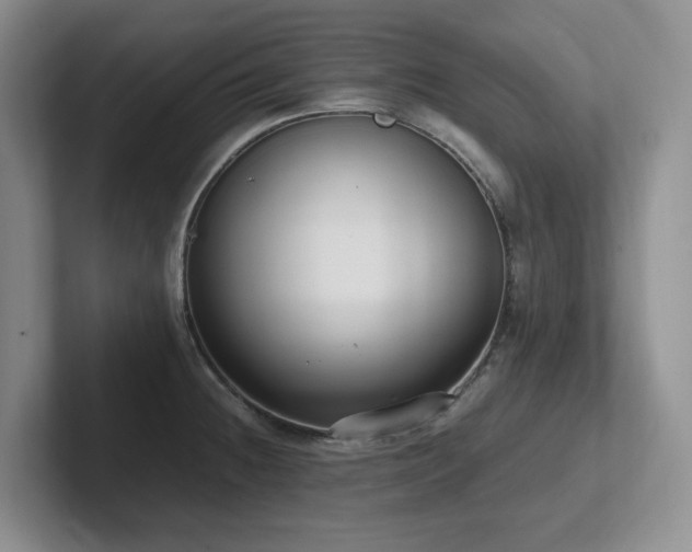 X0000102271236200807251343