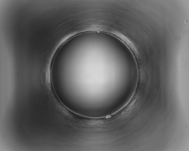 X0000102271238200807251343