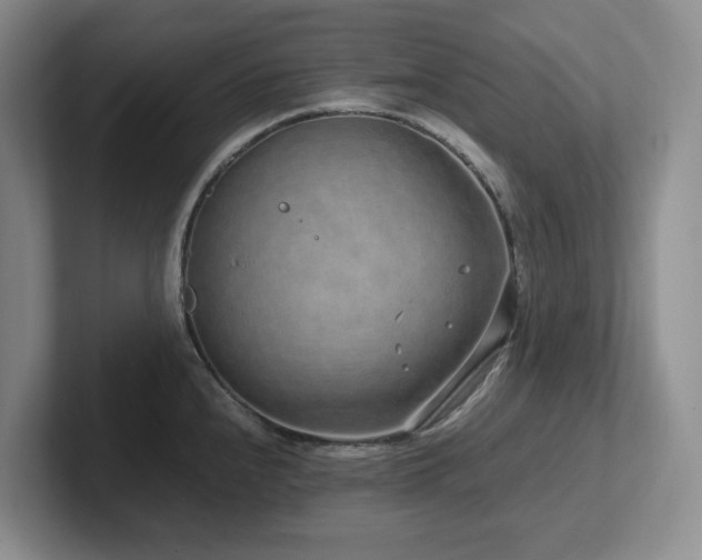 X0000102271240200807251343