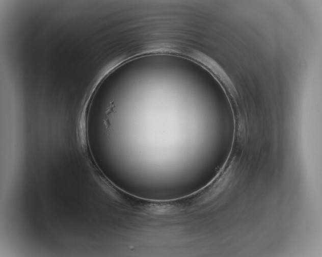 X0000102271242200807251343