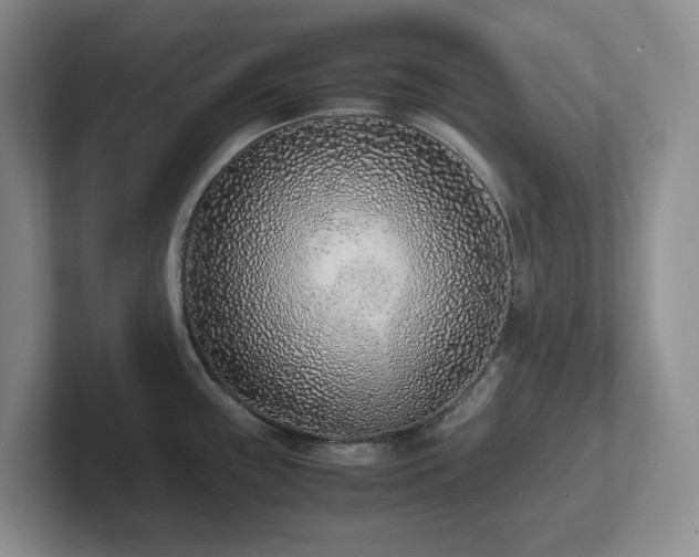 X0000102271243200807251343