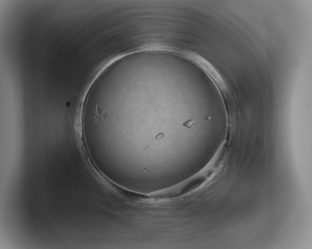 X0000102271244200807251343