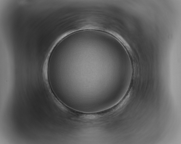 X0000102271246200807251343