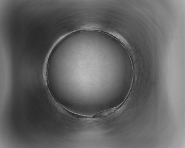 X0000102271248200807251343