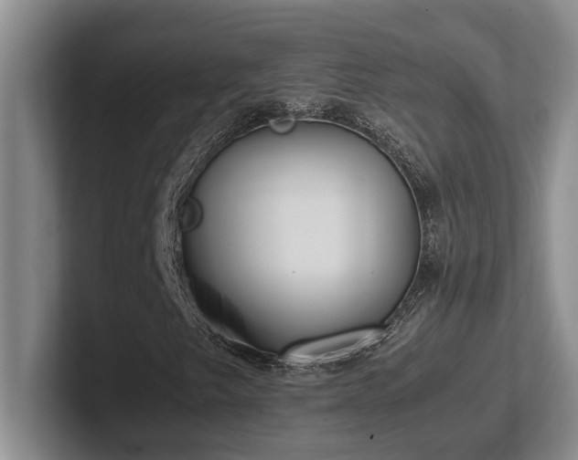 X0000102271249200807251342