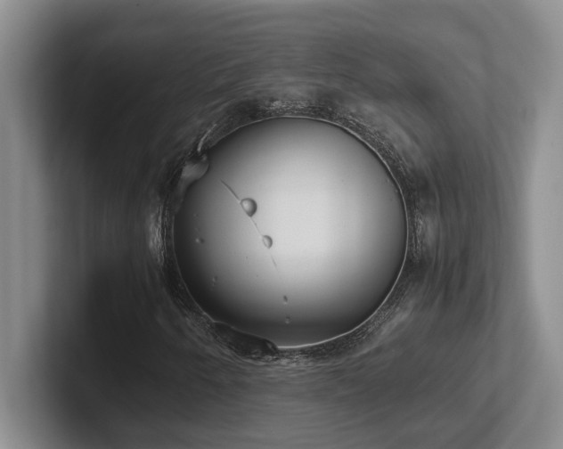 X0000102271250200807251342