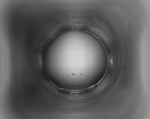 X0000102271252200807251342