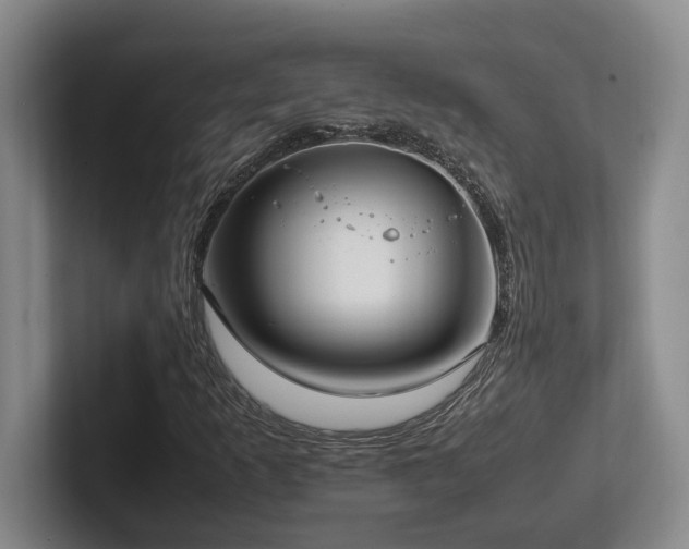 X0000102271253200807251342