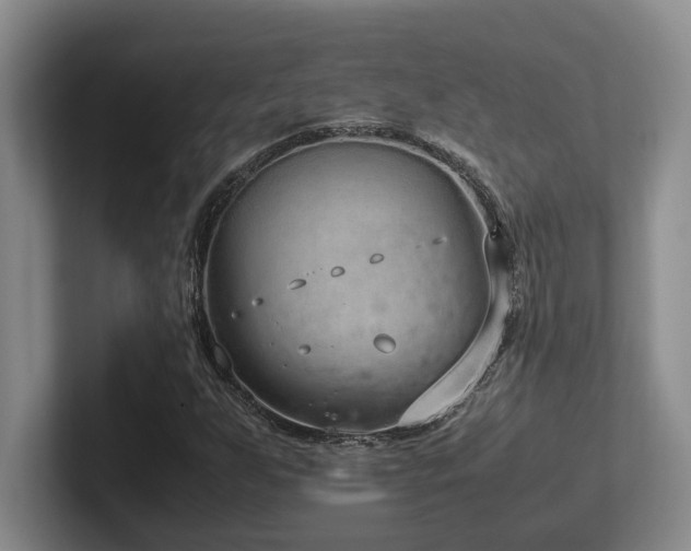 X0000102271255200807251342