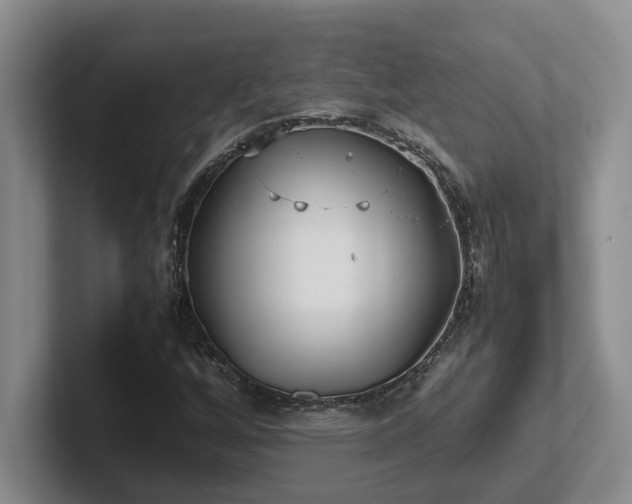 X0000102271256200807251342