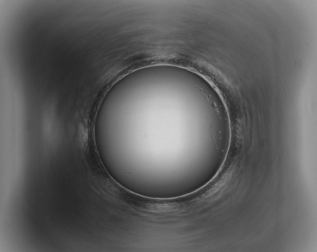 X0000102271257200807251342