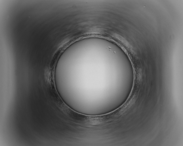 X0000102271258200807251342
