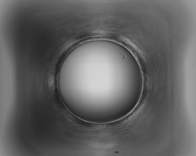 X0000102271259200807251342
