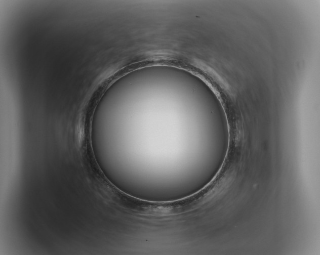 X0000102271261200807251342