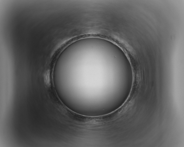 X0000102271262200807251342
