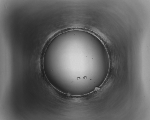 X0000102271264200807251342