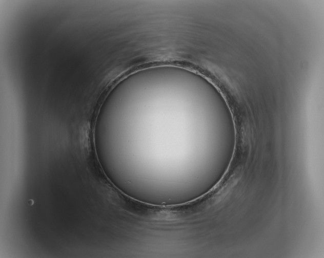 X0000102271265200807251342