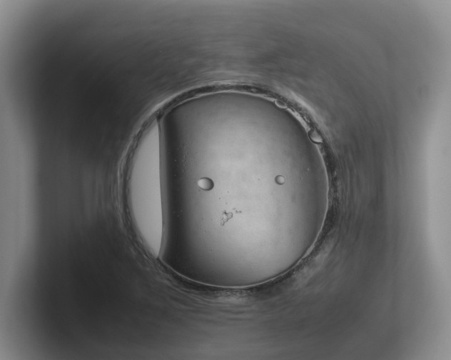 X0000102271267200807251342