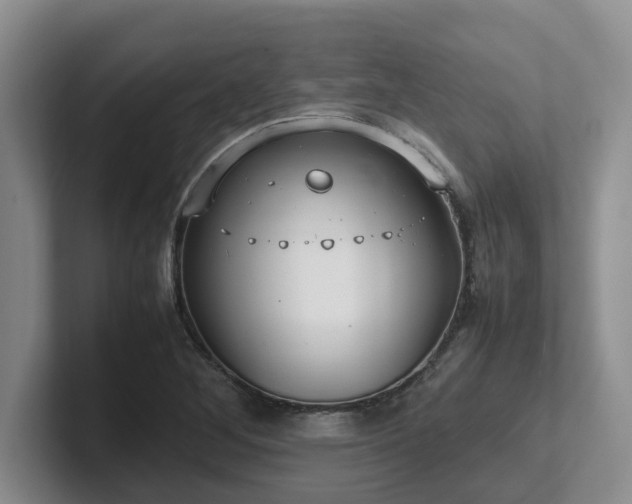 X0000102271268200807251342