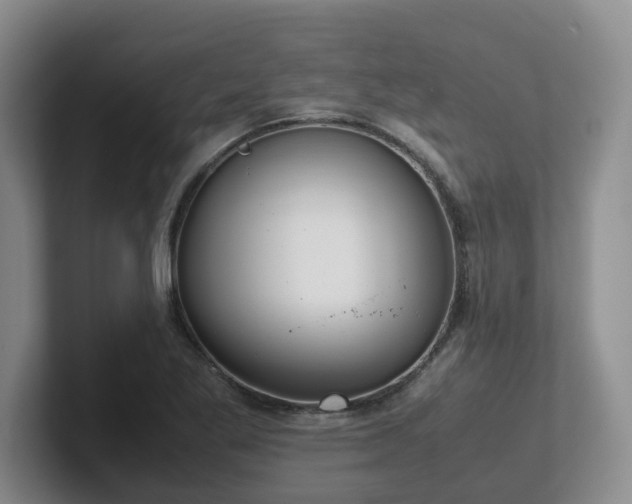 X0000102271269200807251342