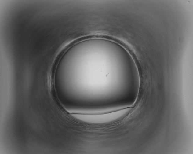 X0000102271271200807251342